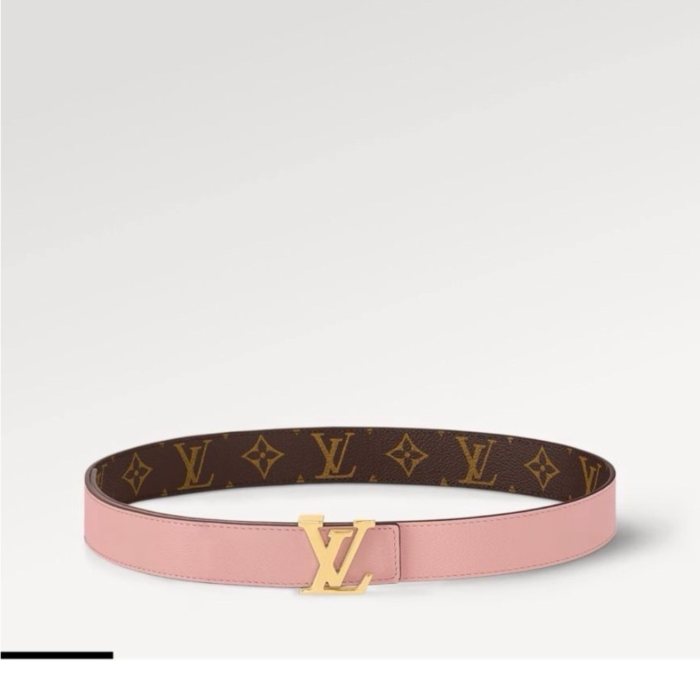 Louis Vuitton Pink and Brown Belt with Gold Buckle